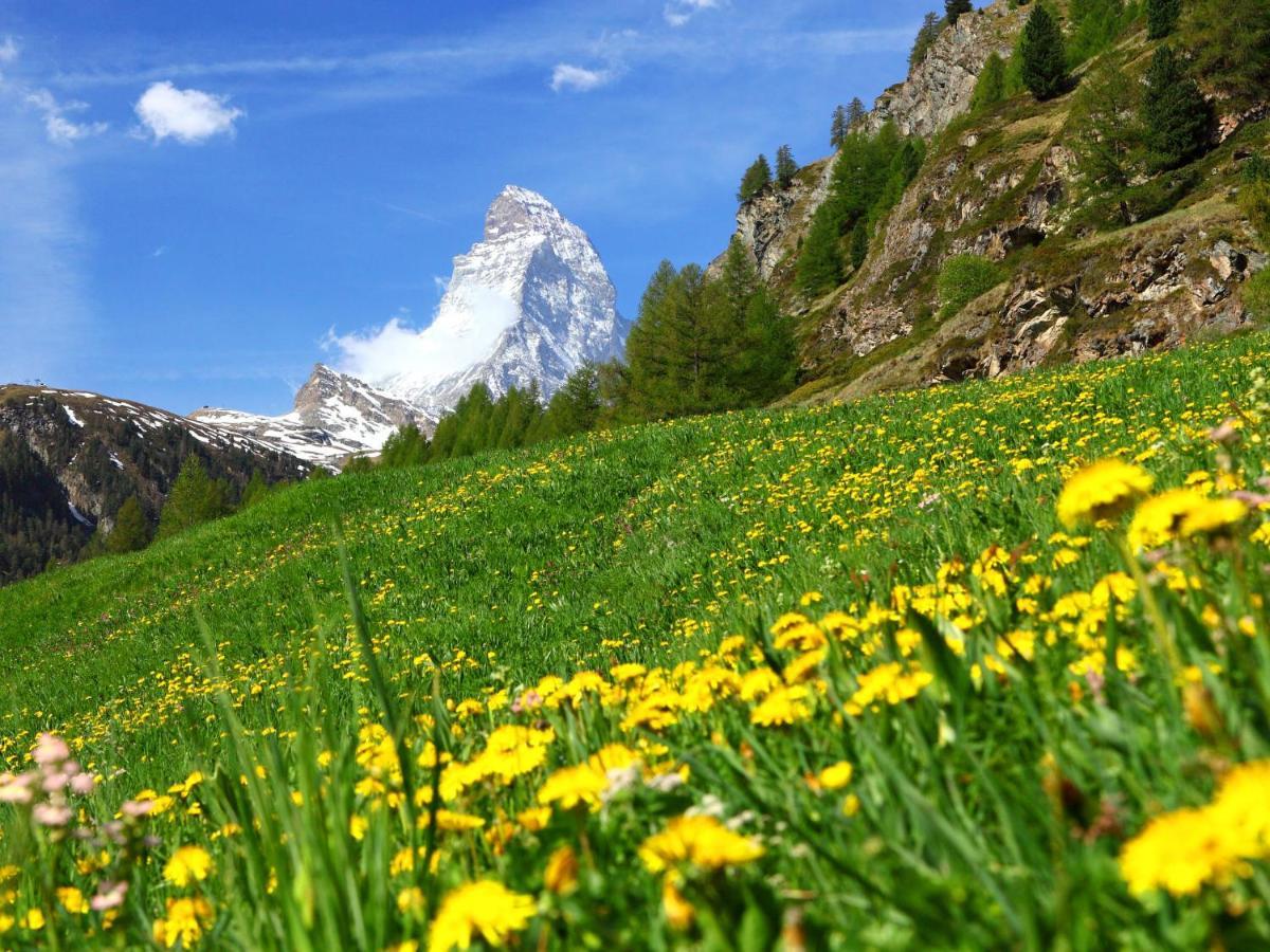 Apartment Silence-1 By Interhome Zermatt Esterno foto